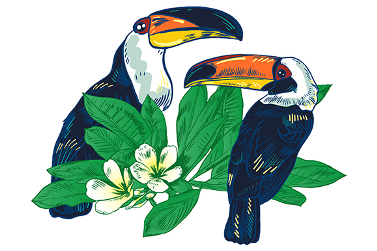 TOUCAN, an Animal Illustration by Tanya Akhmett (Photo 7 of 11)