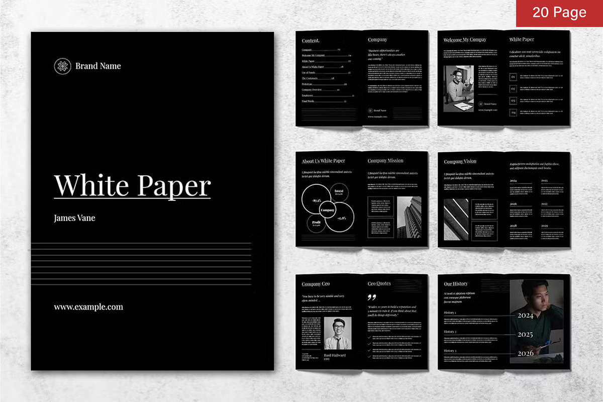 White Paper Bundle, a Brochure Template by ContestDesign (Photo 18 of 30)