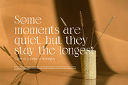 Agiona – Elegant Contrast Serif Font, a Serif Font by Graphicxell (Thumbnail 4 of 8)