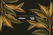 BOOK OF FLOWERS 2 Clipart, an Object Graphic by angelainthefields (Thumbnail 13 of 13)