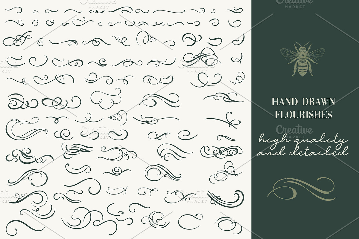 Calligraphic set of vintage flourish, an Object Illustration by FleurArt (Photo 2 of 12)