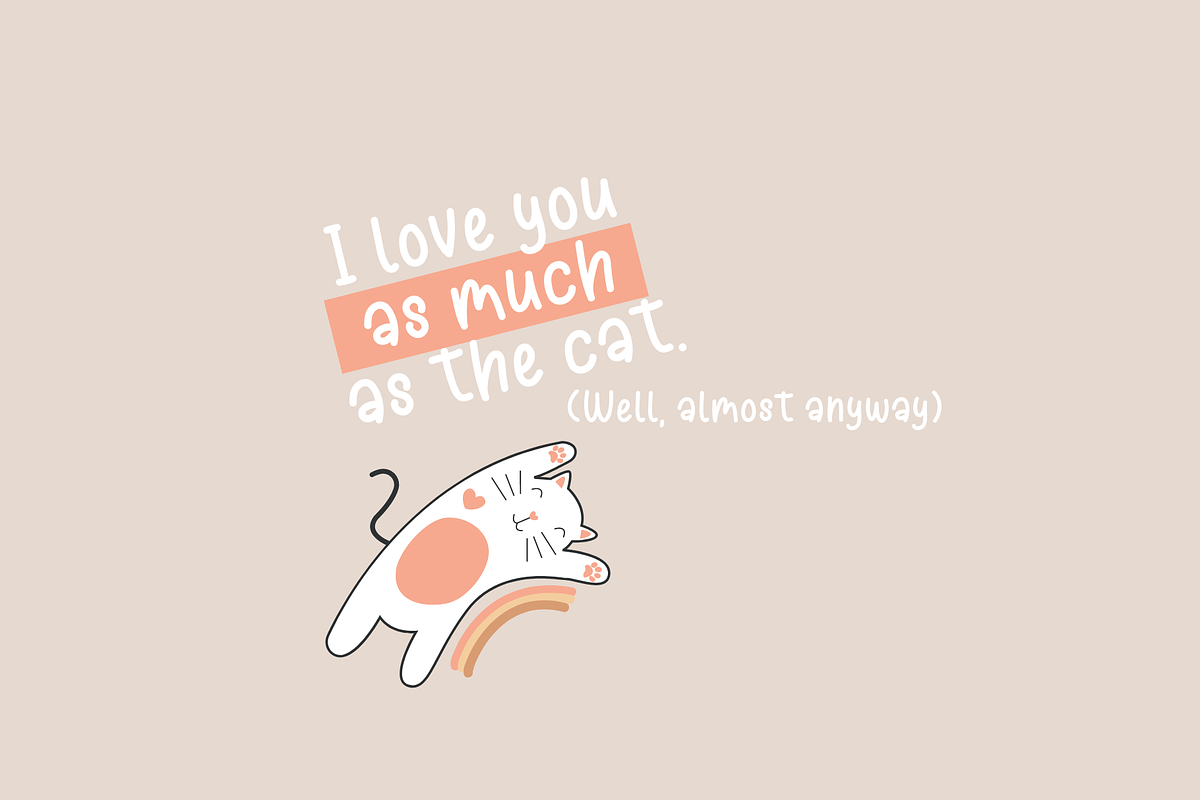 Barbadine du Soir, a Script Font by Sofia Skoog (Photo 3 of 12)