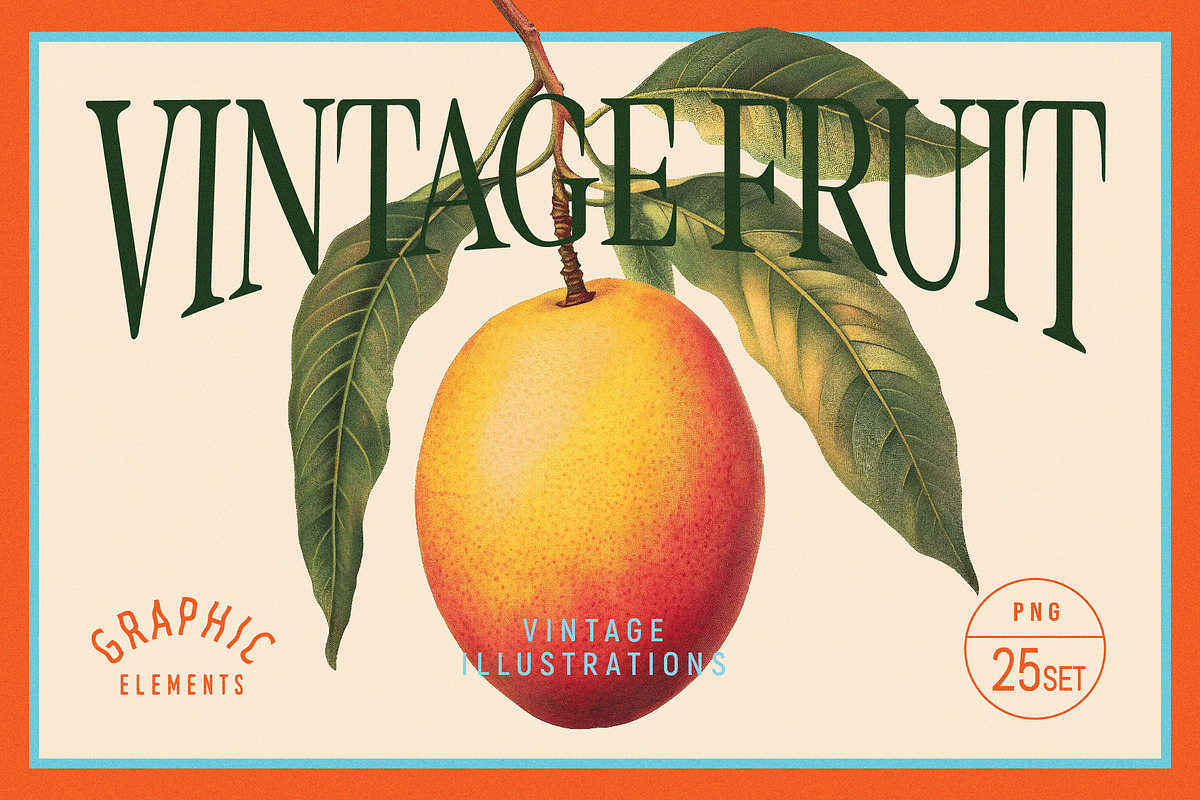 Vintage Graphic Elements_FRUITS, an Object Illustration by BOLD.Graphic (Photo 1 of 8)