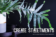 Little Jungle Image Bundle 2, an Arts & Entertainment Photo by Lum3n (Thumbnail 2 of 3)