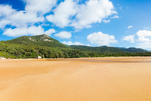 Panorama of Sealers Cove Landscape, a Nature Photo by THP Creative