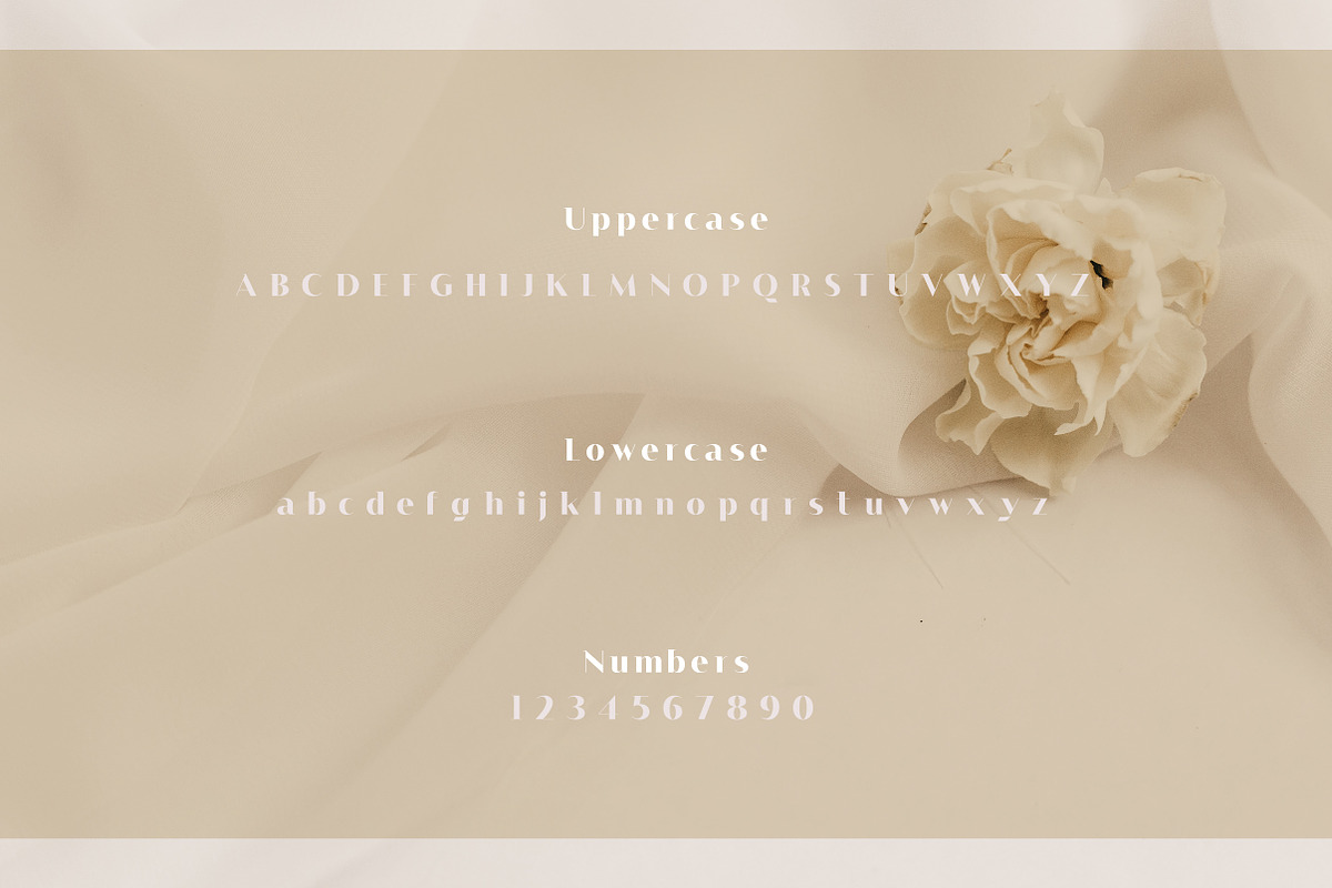 Alisson, a Serif Font by geengraphy (Photo 2 of 3)