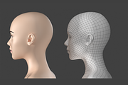 Stylized Female 01 A-Pose Base Mesh, a Characters & Person 3D Model by VK Studio (Thumbnail 16 of 27)