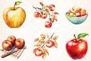 Watercolor Apples Clipart, an Illustration by Libby Wishes (Thumbnail 6 of 6)