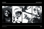 Milch - 50 Ink in Milk Backgrounds, a Texture Graphic by FLYERWRK (Thumbnail 5 of 12)