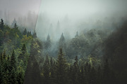 Moody Lightroom Presets - Soft Light, an Action Add-On by PhotoMarket (Thumbnail 25 of 33)