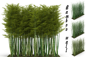 Bamboo Wall