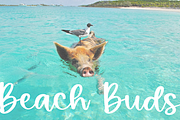 Summer Berries | Fun Script Font, a Script Font by KA Designs (Thumbnail 11 of 13)