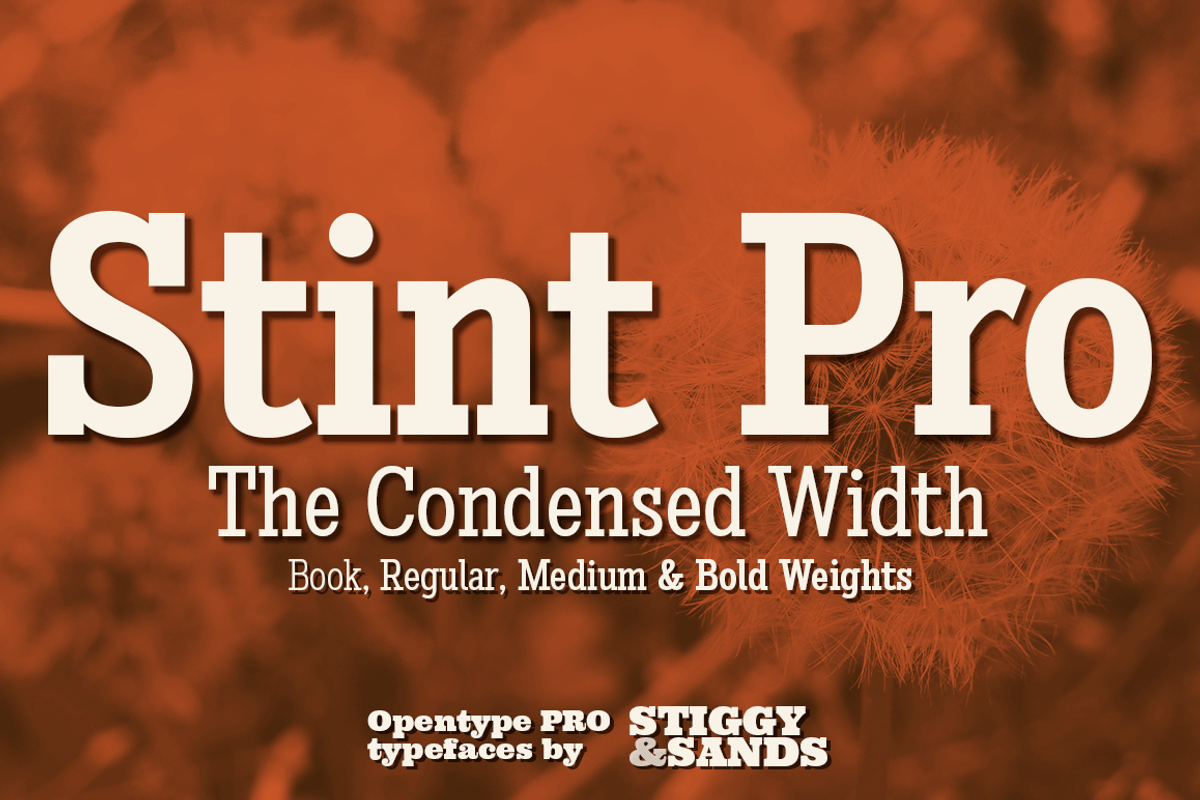 Stint Condensed Pro Family