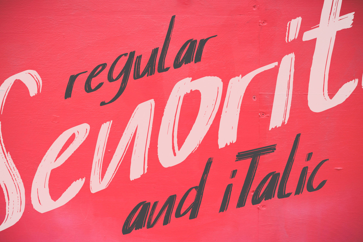 Senorita Brushes Font, a Sans Serif Font by Say Studio (Photo 2 of 12)