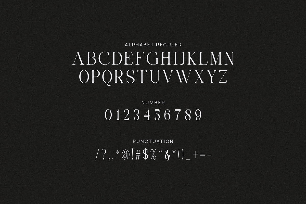 Micky Thank Minimalist Serif Font, a Serif Font by Perfectype (Photo 8 of 8)