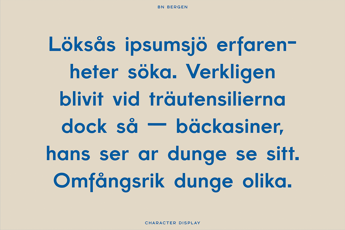 BN Bergen, a Sans Serif Font by Bnick (Photo 7 of 11)