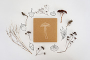 FALL DOODLES. EPS, PNG., an Illustration by Sentimental postman (Thumbnail 3 of 14)