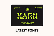 Clandia Monoline Script & Ornaments, a Script Font by Typebae (Thumbnail 11 of 12)
