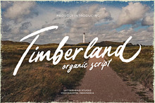 TImberland - Organic Script