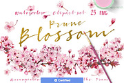 BUNDLE PINK FLOWERS-85%, an Illustration by watercolorwild.graphics (Thumbnail 6 of 11)