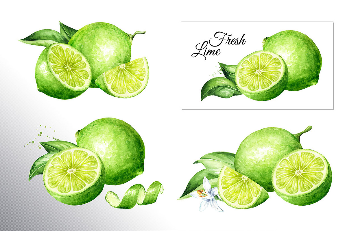 Lime citrus. Watercolor collection, a Food Illustration by Daria Ustiugova (Photo 3 of 21)