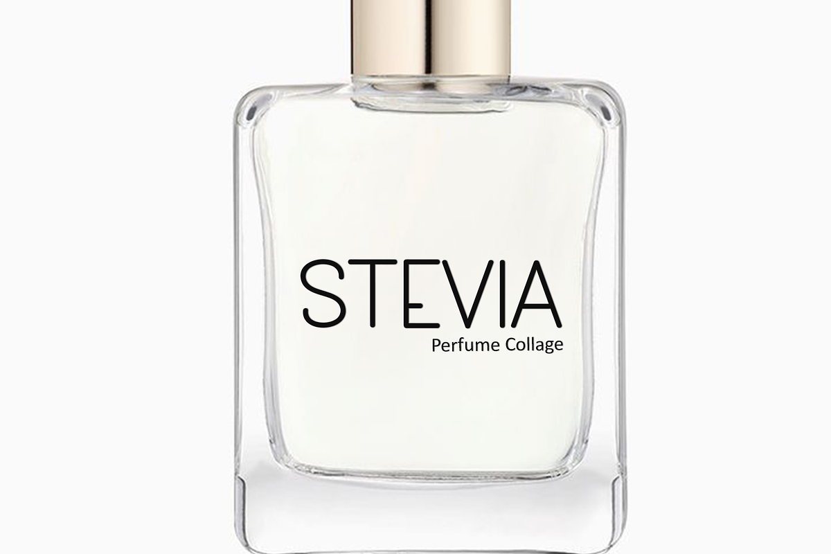 Owner Smart, a Sans Serif Font by InermediaSTUDIO (Photo 7 of 8)