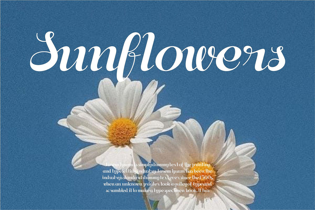 Buchery | Script Fonts | Food Fonts, a Script Font by WhymoreArt (Photo 4 of 11)