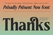 Ceganf Modern High Contrast Serif, a Serif Font by timelesstype.co (Thumbnail 20 of 20)