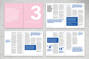 Minimalist Business Annual Report