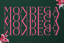 Mondega - Modern Serif Font