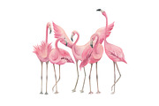 Tropical Collection With Flamingos, a Seasonal Illustration by Natikka Art (Thumbnail 3 of 6)