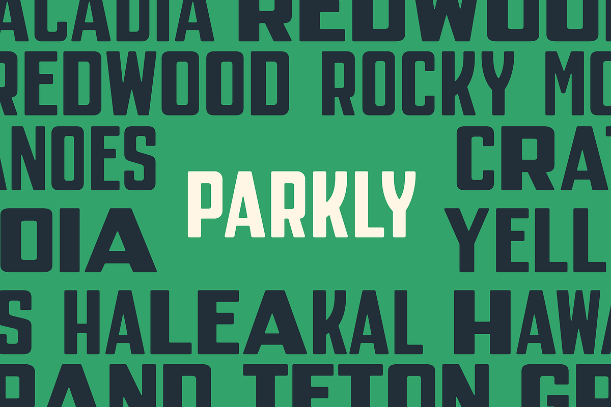 Parkly — Vintage display sans, a Sans Serif Font by SimpleBits® (Photo 4 of 5)