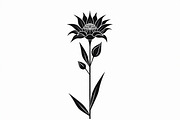 Elegant Floral Bundle, an Illustration by hafijul (Thumbnail 3 of 21)