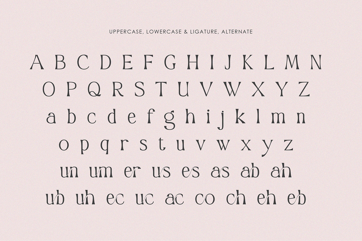 Millesa, a Serif Font by Muflieart (Photo 8 of 8)