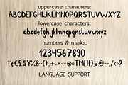 Chef handwritten brush font, a Script Font by Gennadi Digital Studio (Thumbnail 2 of 6)