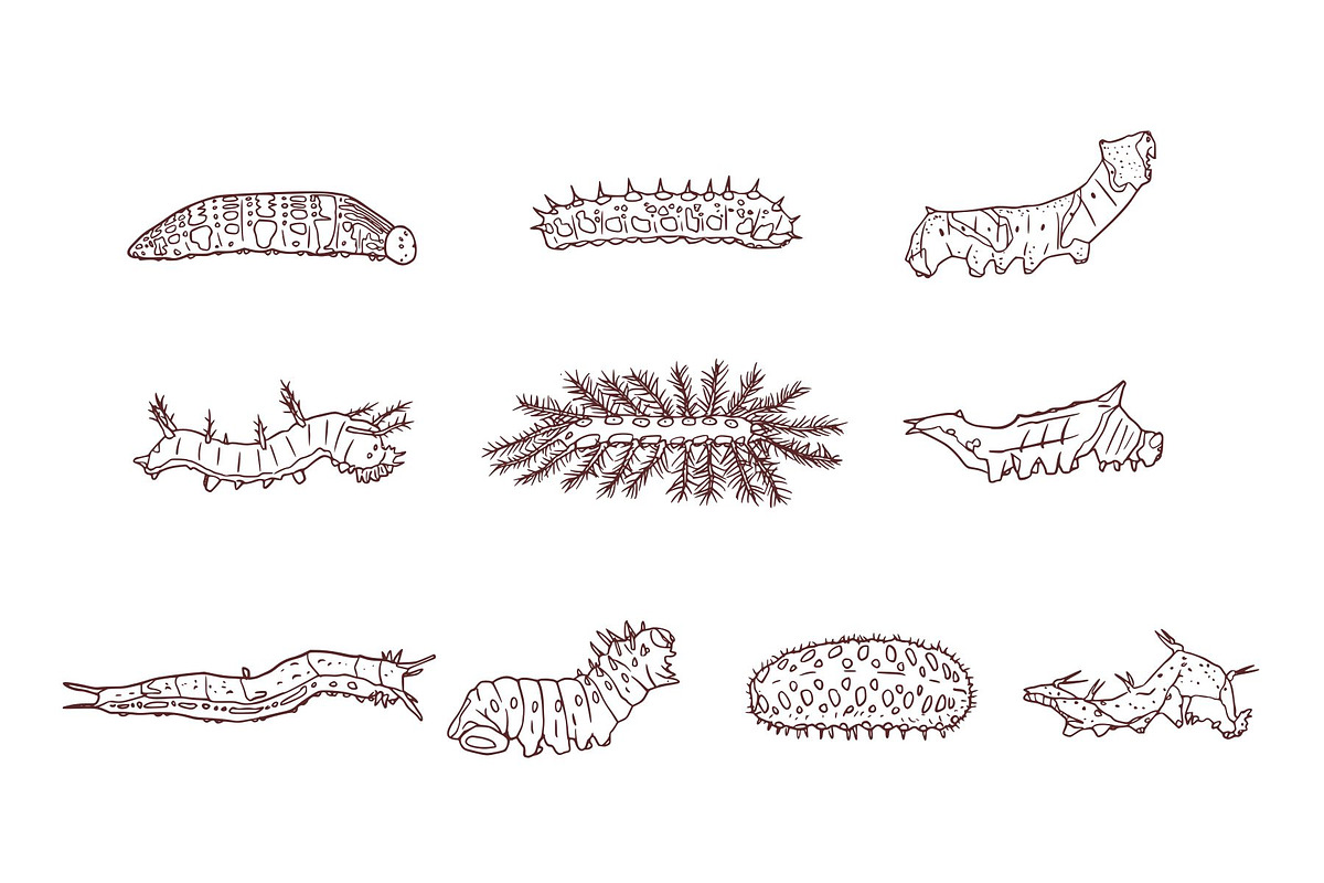 Breeds Caterpillar Handdrawn Vol 2, an Animal Illustration by SLAB! Design (Photo 3 of 3)