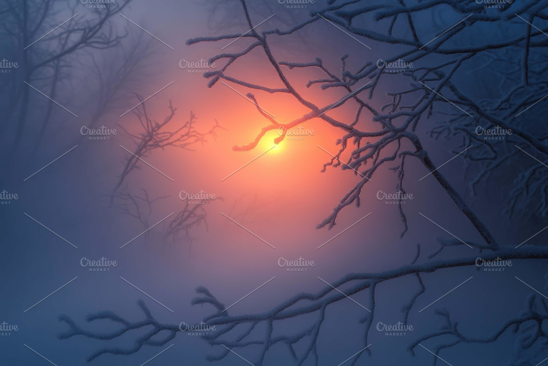 Mysterious winter morning with fog a, a Photo by Tanuart