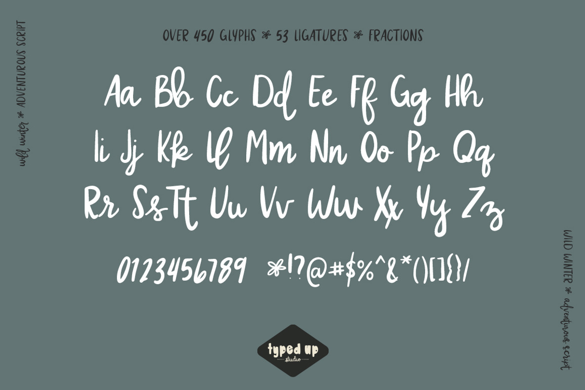 Wild Winter | Extensive Script Font, a Script Font by Typed Up Studio (Photo 5 of 16)