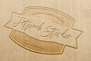 Jettiares Script Font, a Script Font by Letterhanna Studio (Thumbnail 7 of 15)