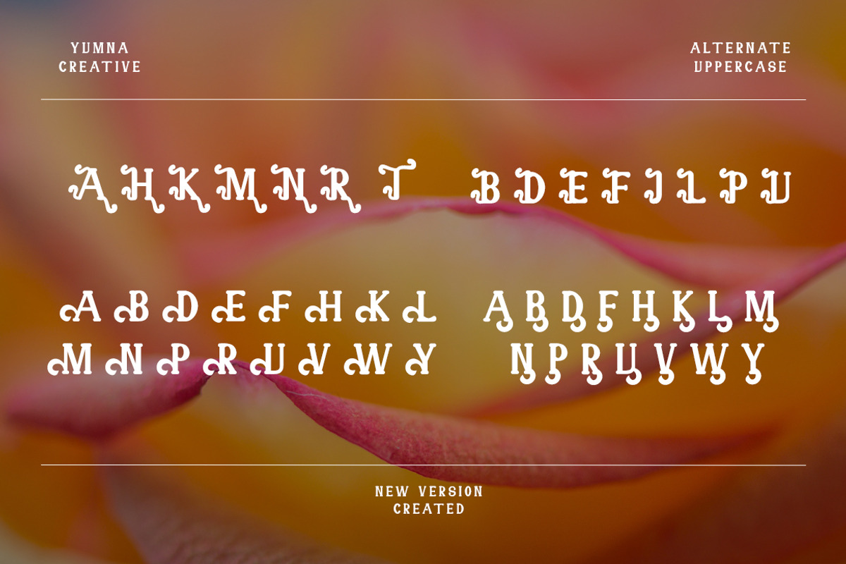 Novaith - Display Retro Font, a Handwritten Font by Dhabee (Photo 3 of 14)
