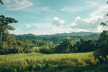 Lush green fields stretch under a cl, a Photo by Iftikhar Alam