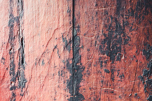 Close-up of Wooden Door background texture, a Nature Photo by GoodGoods