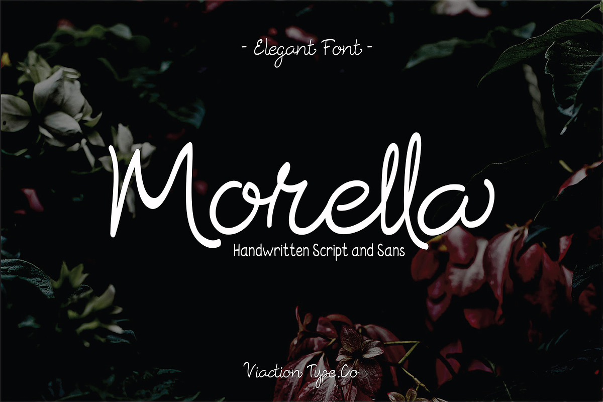 Morella