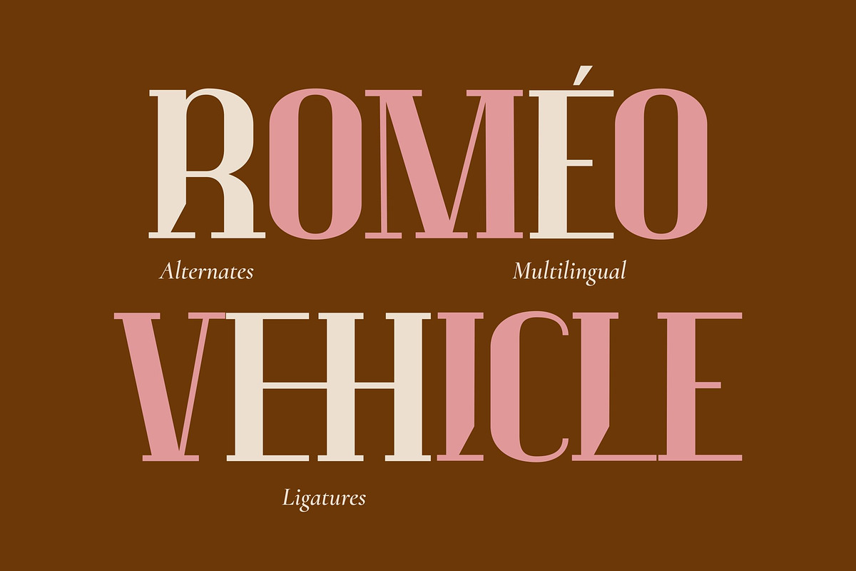 Luck Moniec - Modern Editorial Serif, a Serif Font by Imoodev (Photo 3 of 5)