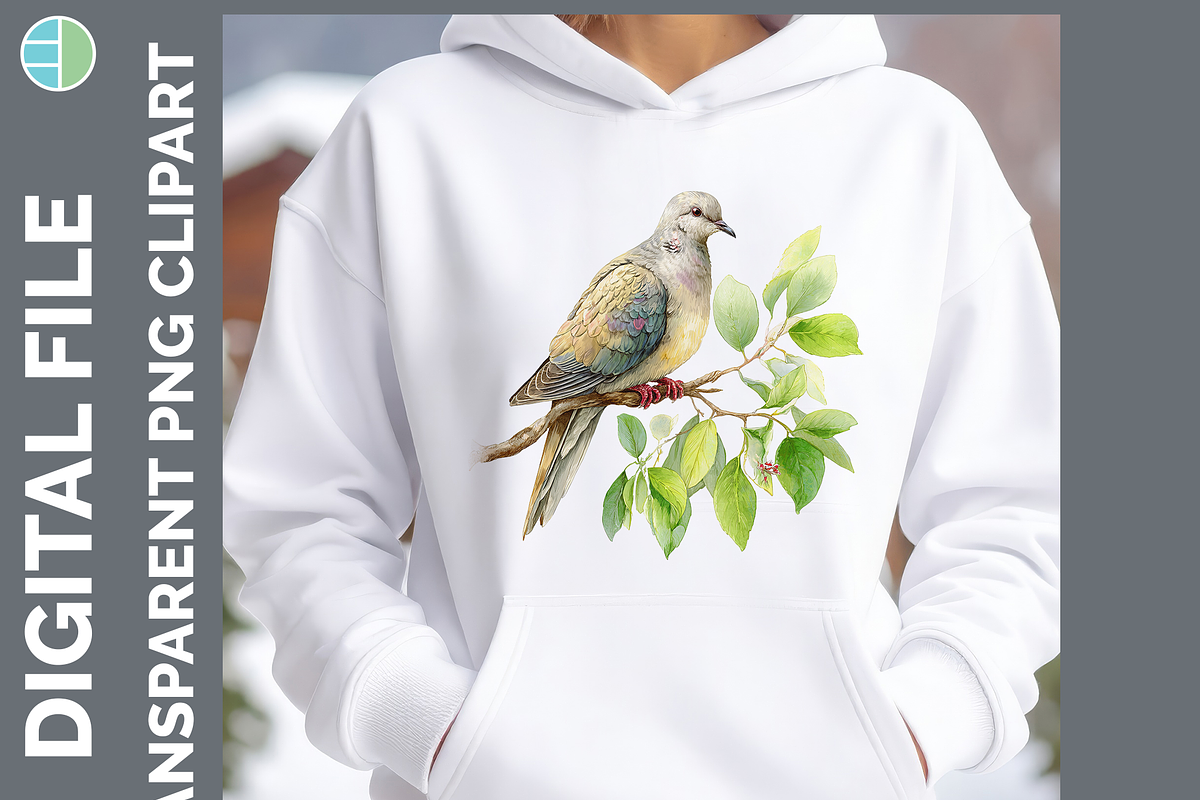 Bird Illustration Bundle, 21 PNG, an Animal Illustration by Enliven Designs (Photo 4 of 8)