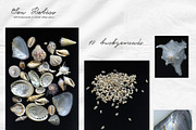 Sea Relics: Objects & Backgrounds, an Object Graphic by Purple (Thumbnail 11 of 14)