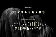 Night Folks - Halloween Display Font, a Font by Studio Moara (Thumbnail 7 of 8)