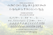 Nature | Script Font, a Handwritten Font by Scratchones (Thumbnail 7 of 9)