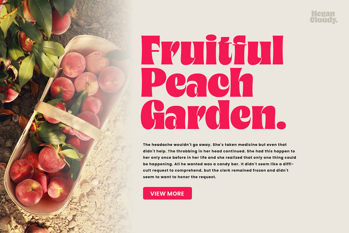 Megan Cloudy - Charming Serif, a Serif Font by Variatype (Photo 3 of 10)