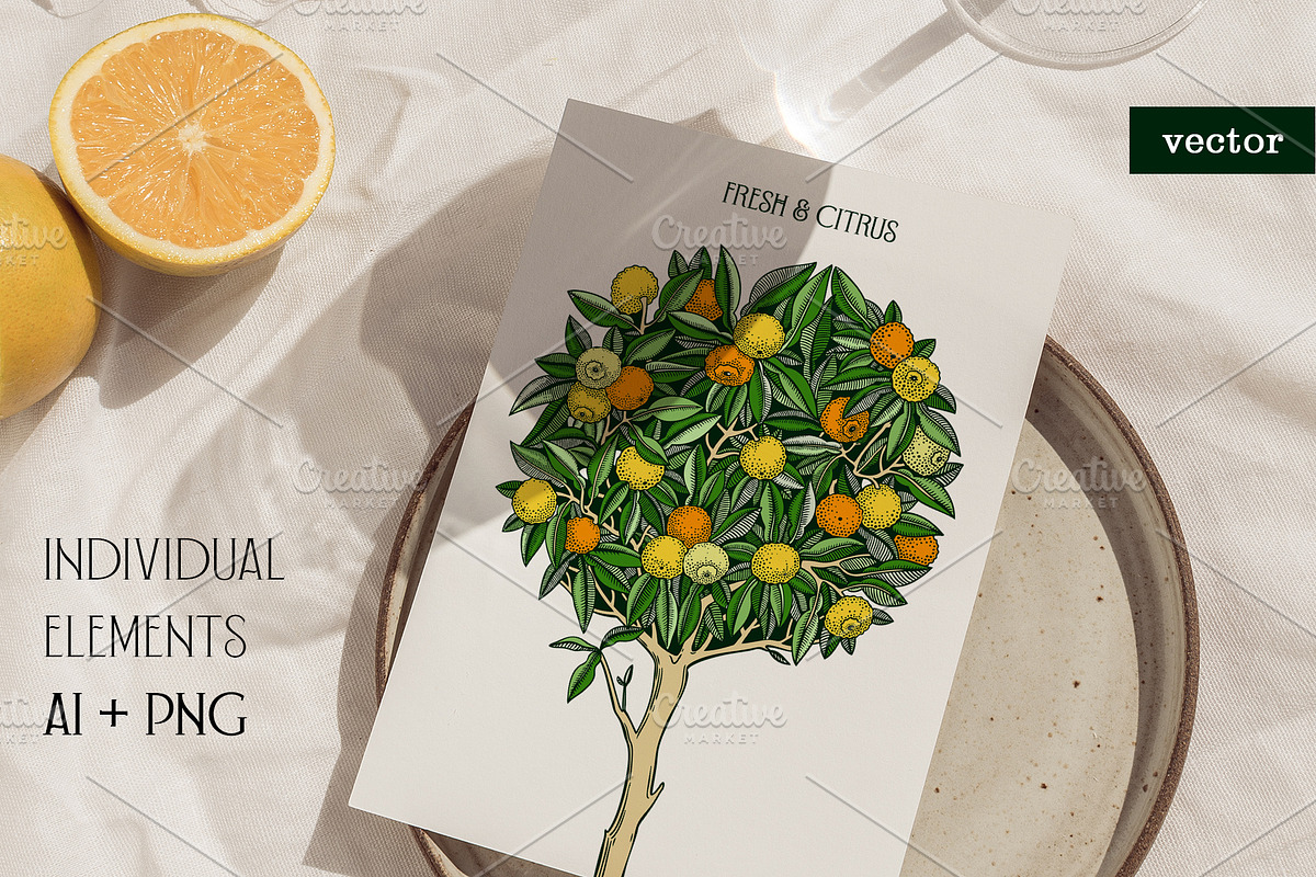 Yuzu - Citrus Fruit and Patterns, a Food Illustration by Yevheniia (Photo 2 of 12)
